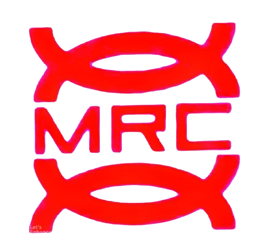 Mohit Road Carriers Logo